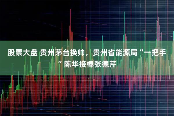 股票大盘 贵州茅台换帅，贵州省能源局“一把手”陈华接棒张德芹