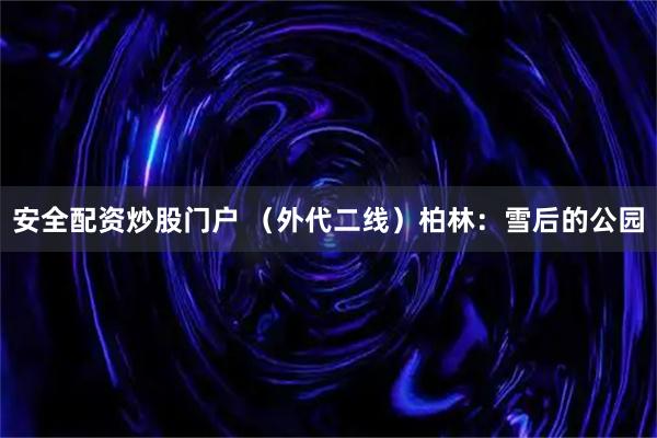 安全配资炒股门户 （外代二线）柏林：雪后的公园